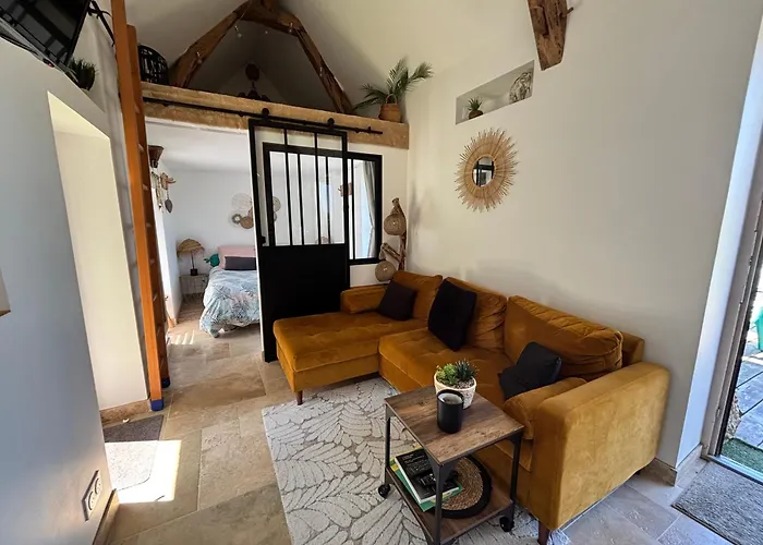 Tiny House La Poiteviniere, Terrasse, Barbecue, Saumur Gasthof 3*