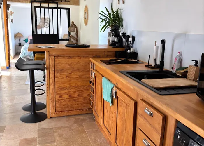 Tiny House La Poiteviniere, Terrasse, Barbecue, Saumur 3*